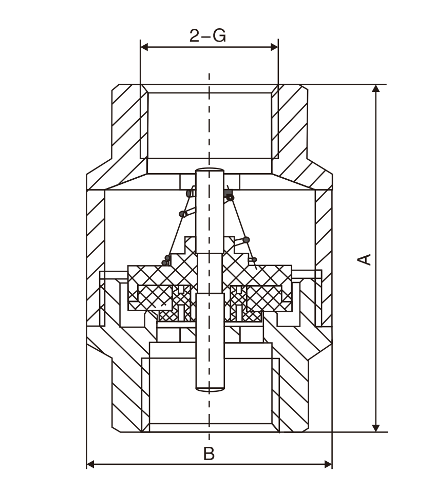 黃銅立式(shi)止回閥(圖1)