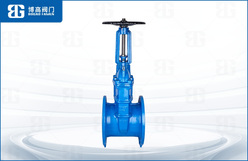 明杆彈(dàn)性座封閘閥